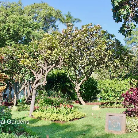 Ourmadeira - Belleveva Villa