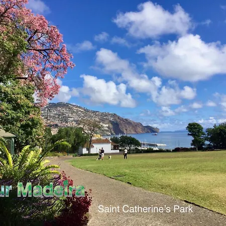 Ourmadeira - Belleveva Villa *