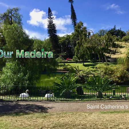 Ourmadeira - Belleveva *